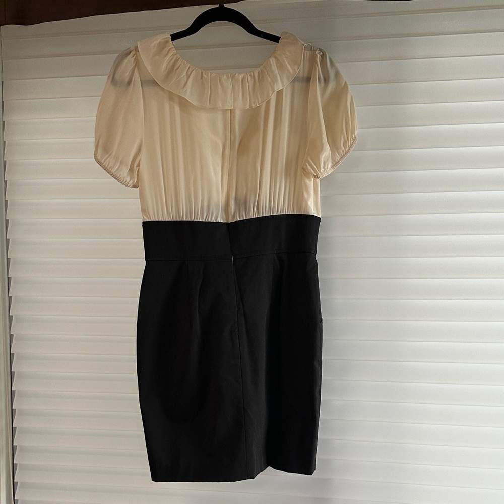 bebe Cream and Black Mini Dress - Picture 3 of 3